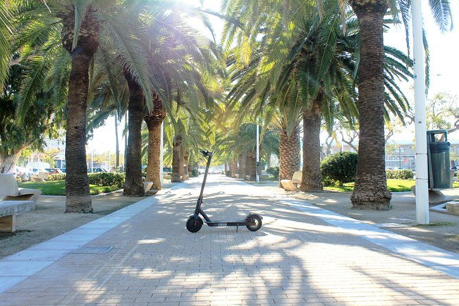 electric-scooter-rental-2