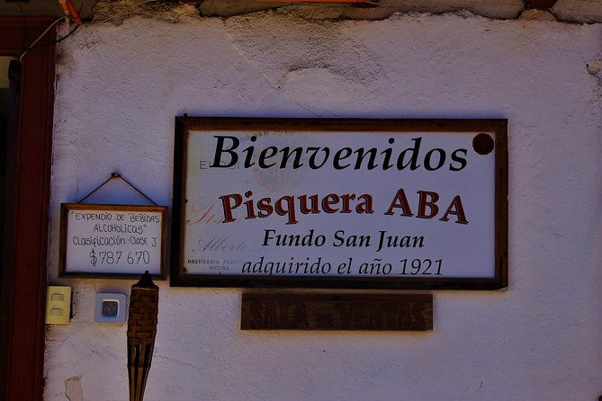 elqui-valley-and-vicuna-private-tour-including-lunch