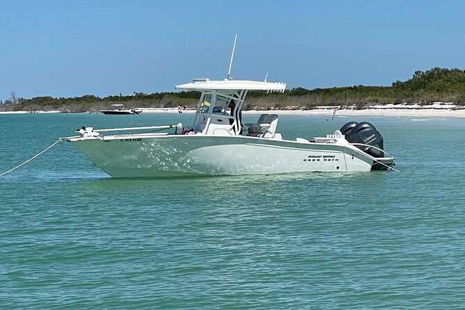 enticement-charters-snorkel-shelling-in-st-petersburg-fl-3-hrs-2