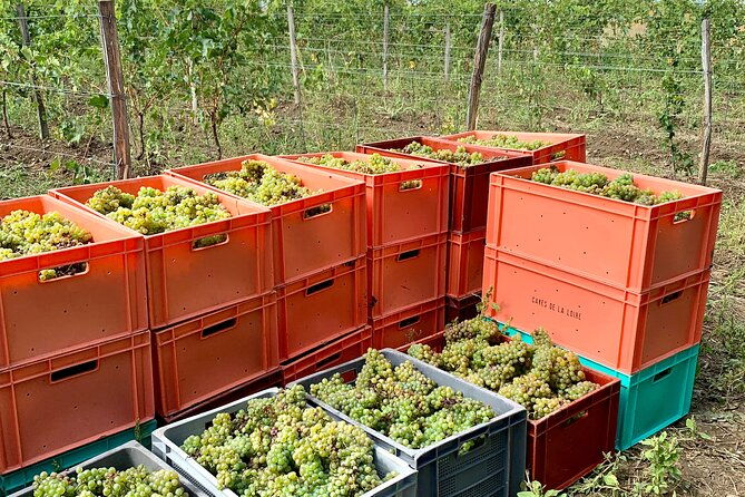 epicurean-discovery-tour-with-wine-local-specialties-2
