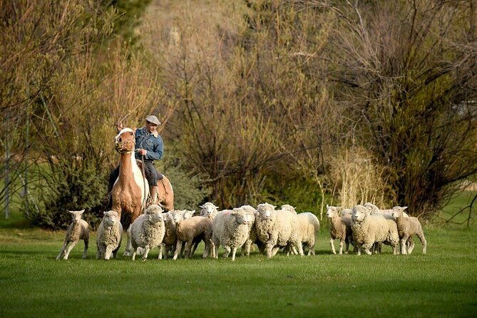 estancia-25-de-mayo-experience-with-dinner-from-calafate