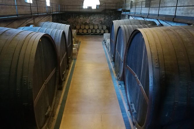 etna-excursion-and-lunch-wine-tasting-in-etna-doc-vinery