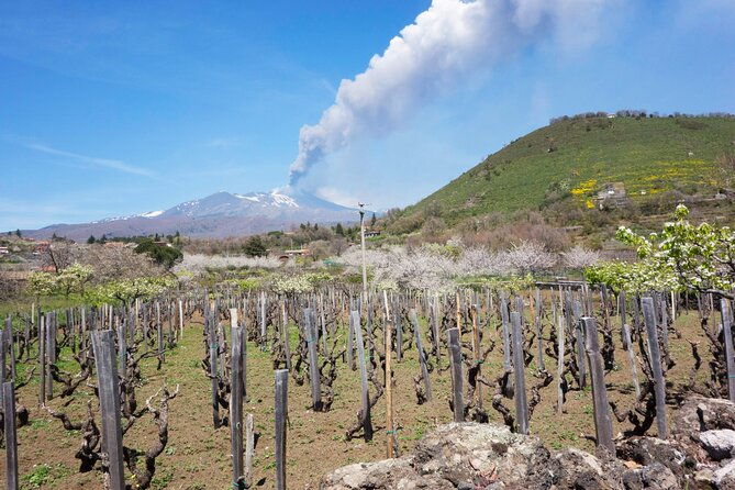 etna-private-tour-from-messina-cruise-terminal-lunch-at-winery