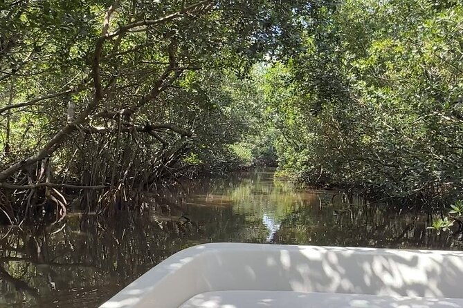 everglades-mangrove-wilderness-boat-tour