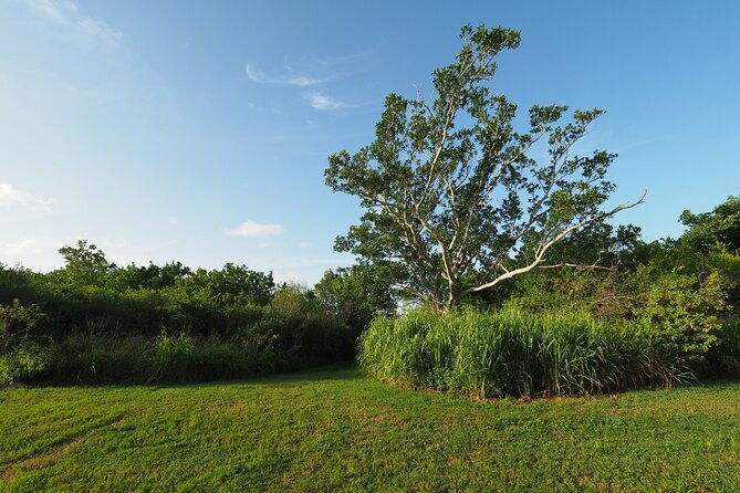 everglades-national-park-self-guided-driving-audio-tour-2
