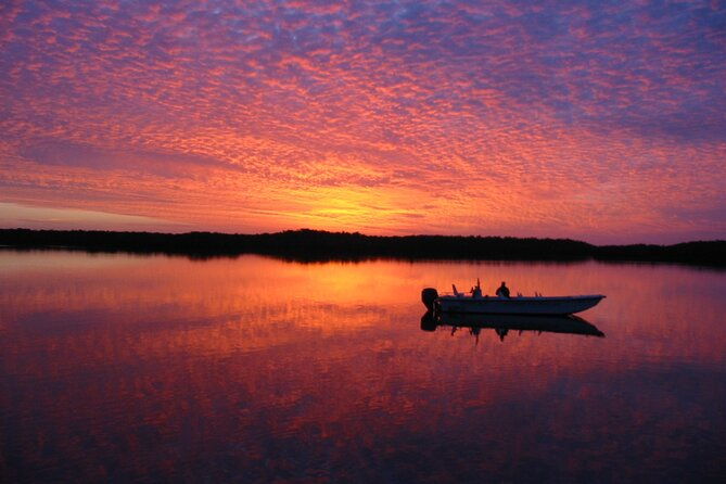 everglades-national-park-small-group-guided-boating-and-walking-expedition-2
