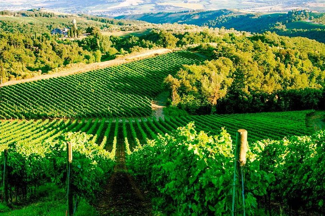 exclusive-private-tuk-tuk-tour-visit-to-a-sardinian-winery-3