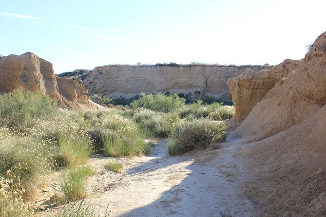 excursion-by-car-with-official-guide-in-bardenas-reales