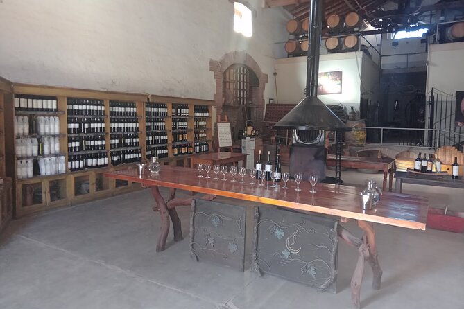 excursion-of-3-wineries-and-1-olive-oil-mill-with-tasting
