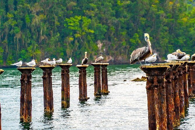 excursion-to-los-haitises-cayo-levantado-bacardi-island-from-santo-domingo