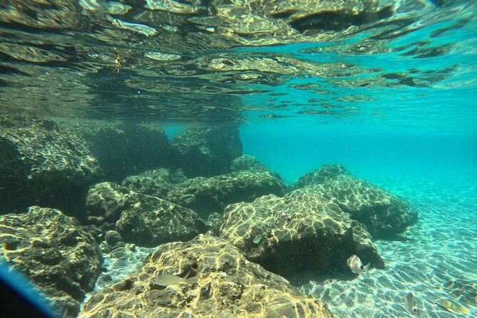 experience-peanut-island-adventures