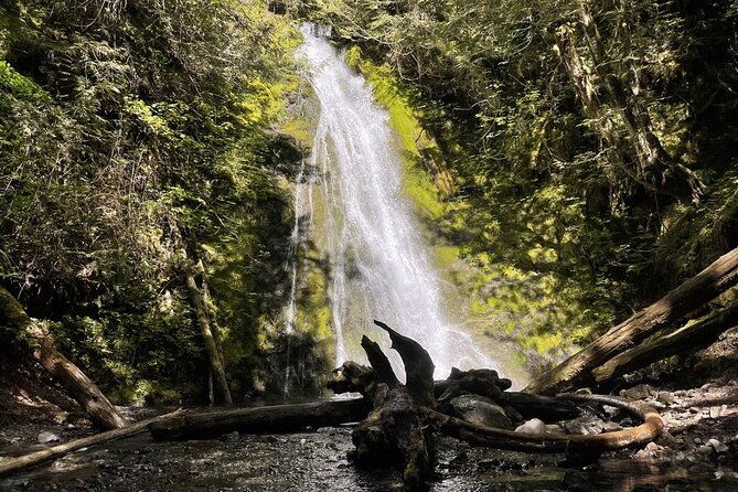 experience-the-spectacular-beauty-of-the-olympic-peninsula