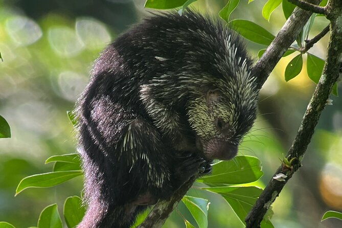 explore-and-learn-on-a-tour-of-the-magic-monteverde-cloud-forest
