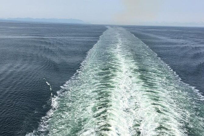 explore-olympic-national-park-from-seattle-through-van-ferry