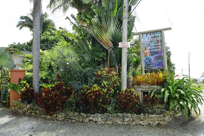 explore-the-enchanted-gardens-of-barbados