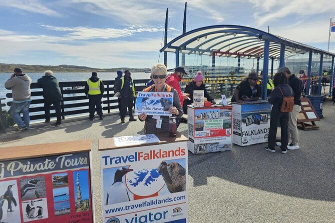 falkland-islands-shared-tour-with-penguins-sightseeing