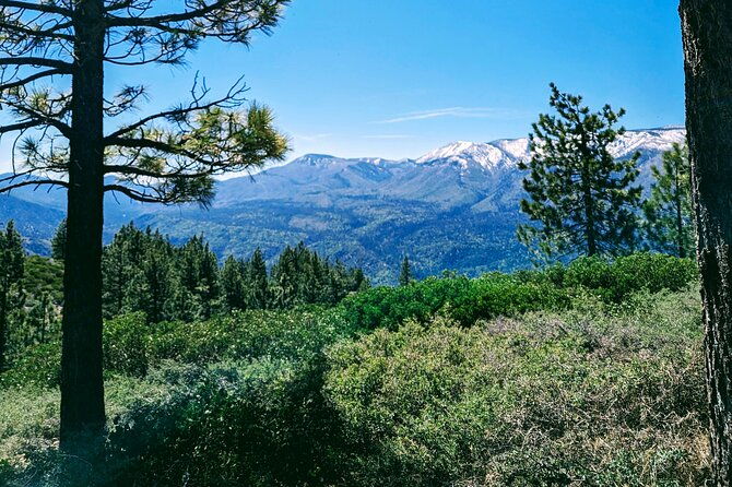 family-friendly-nature-hike-around-the-big-bear-valley-2