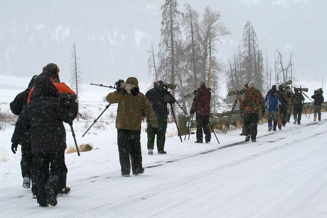 family-friendly-private-tour-at-yellowstone-national-park-w-lunch