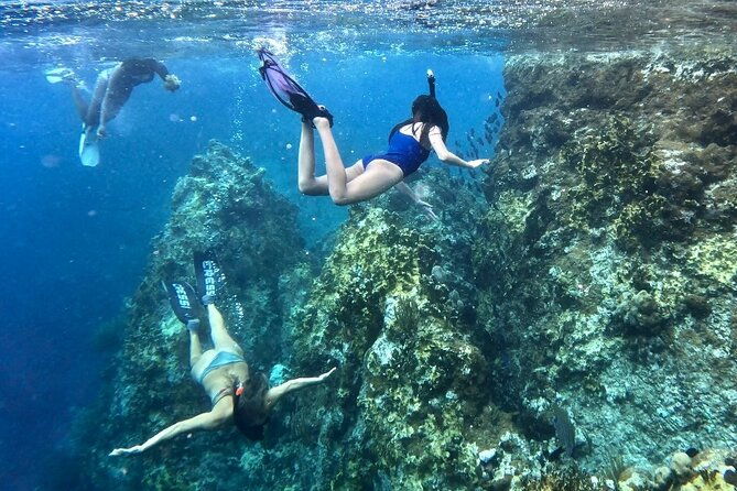 family-snorkel-safari-%ef%b8%8fprivate-boat