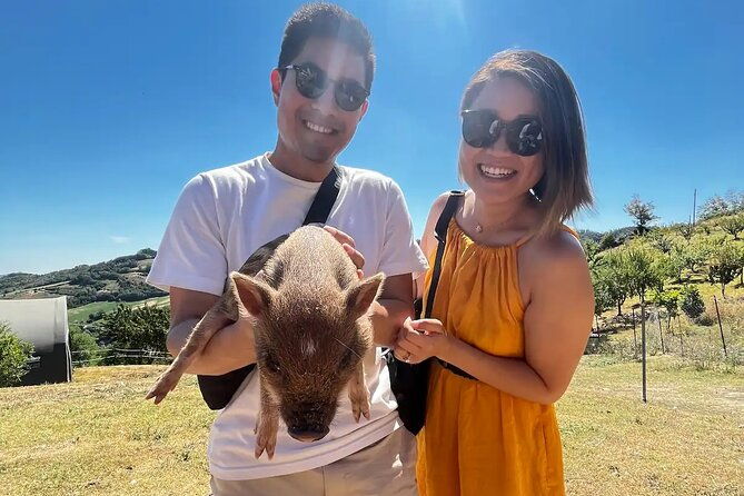 farm-stay-experience-and-dozza-private-day-tour-from-bologna