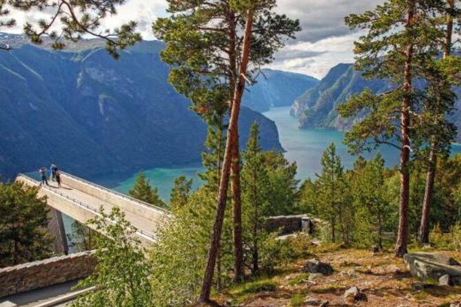 flam-the-spectacular-stegastein-viewpoint-tour-small-group-2