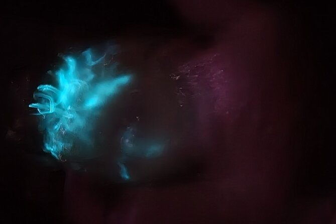 florida-bioluminescence-clear-kayak-tour-cocoa-beach-kiwanis-island-2