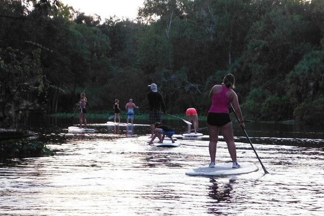 florida-freshwater-springs-paddle-board-tour