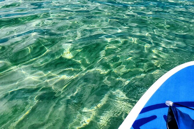 florida-keys-eco-tour-snorkel-kayak-lunch-transportation