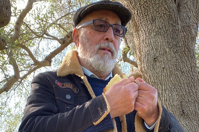 food-and-wine-tour-between-the-patriarchs-olives-and-the-oil-temples-2