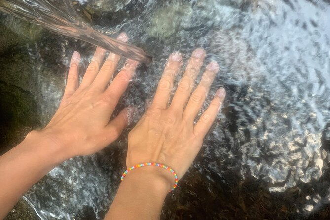 forestbathing-and-natural-spring-water-in-stockholm-nature-2