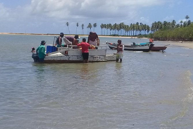 fort-beach-tour-and-tamar-project