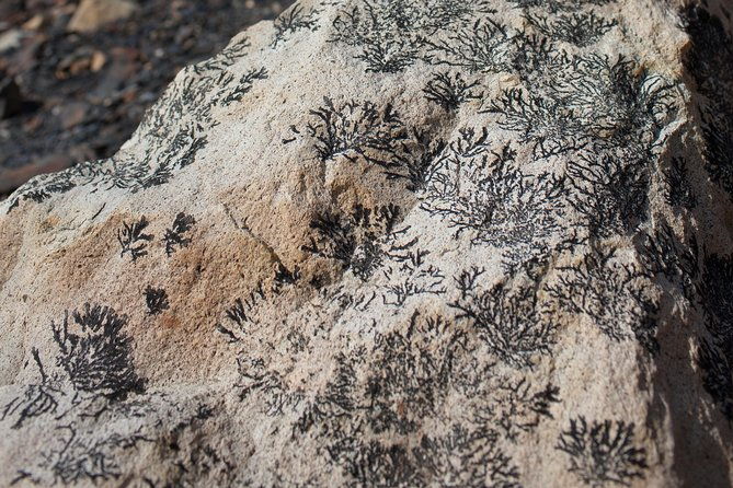 fossil-canyon-expedition