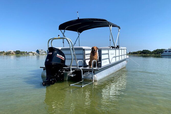 frisky-mermaid-pontoon-boat-rentals-in-pensacola-beach