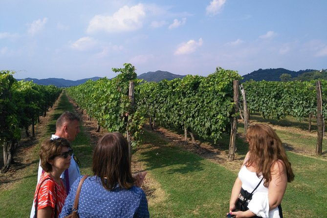 from-abano-montegrotto-wine-tour-in-the-euganean-hills