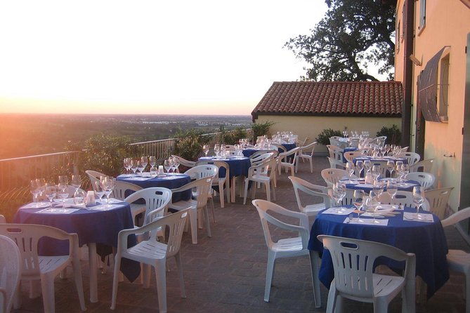 from-bologna-wine-tasting-and-vineyard-tour-with-the-winemaker