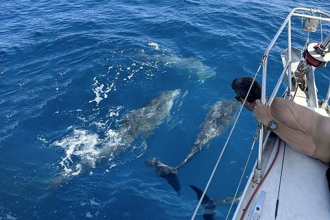 from-catania-sailboat-tour-to-aci-trezza-4-hours