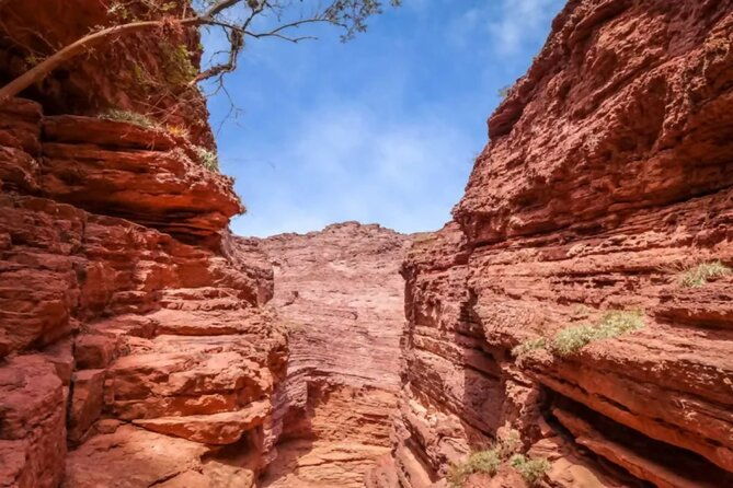 from-salta-full-day-tour-to-cafayate-land-of-wines