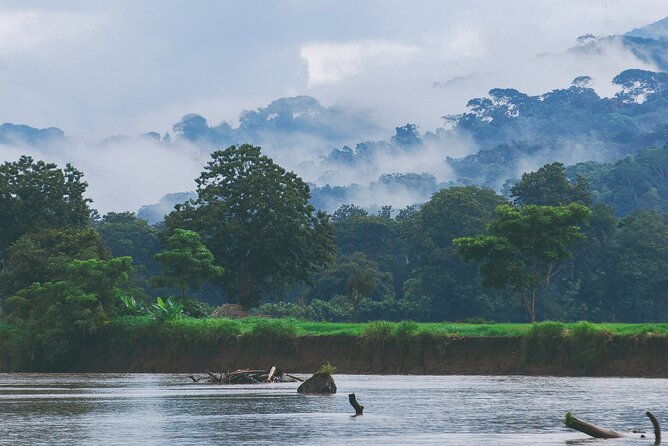 from-san-jose-carara-national-park-and-tarcoles-river-tour