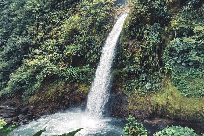 from-san-jose-poas-volcano-crater-coffee-tour-and-breakfast