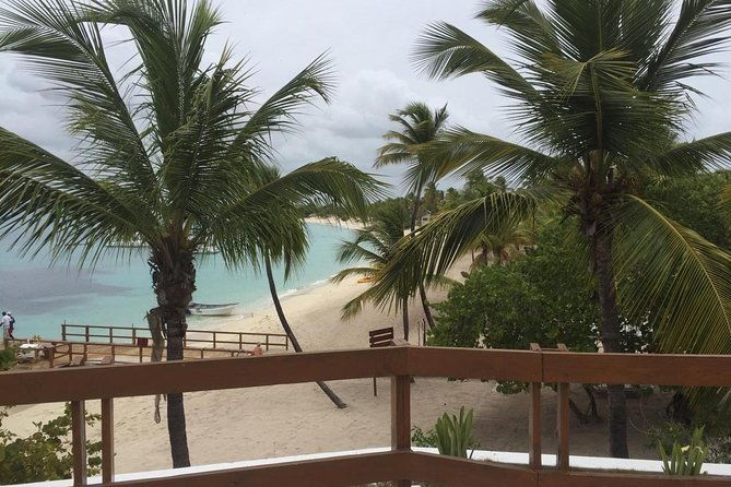 full-day-at-catalina-island-from-santo-domingo-with-optional-snorkeling-included