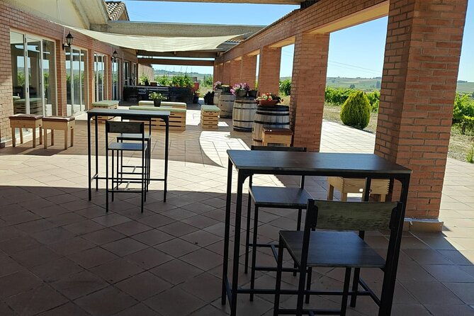 full-day-at-the-winery-visit-tasting-aperitif-and-lunch