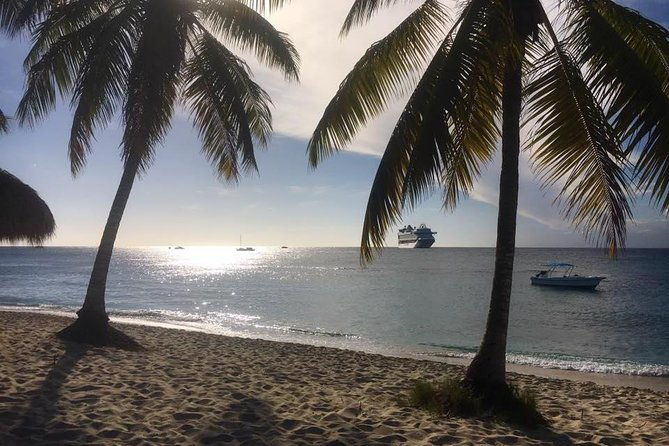 full-day-catalina-island-scuba-diving-tour-from-la-romana