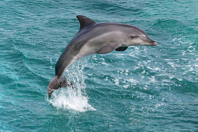 full-day-catamaran-boat-trip-from-alanya
