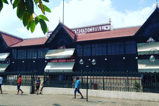 full-day-city-tour-in-manaus-old-town-and-the-botanic-garden-musa