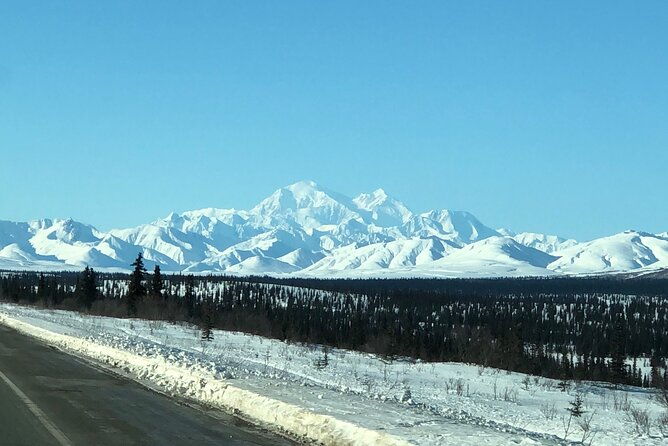 full-day-fairbanks-to-denali-winter-adventure-tour
