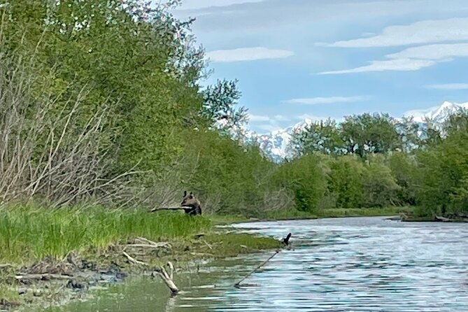 full-day-guided-kayak-tour-on-knik-river