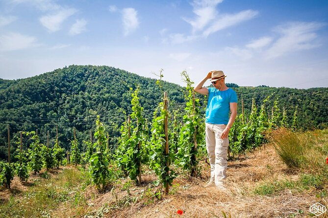 full-day-guided-wine-tour-with-tasting-and-lunch