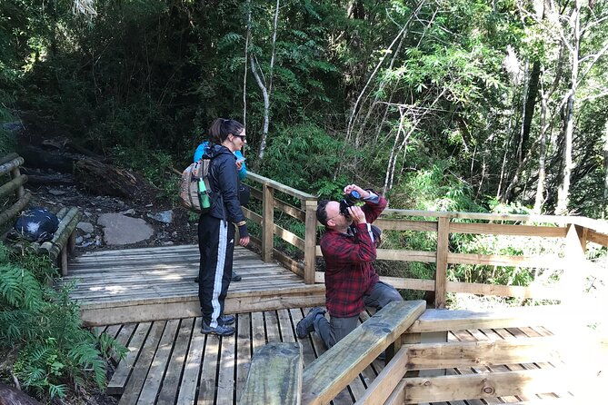 full-day-hike-alerce-andino-national-park