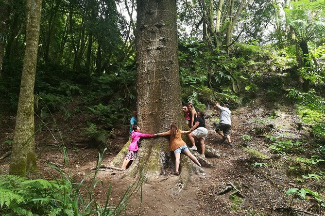 full-day-jeep-tour-to-furnas-2