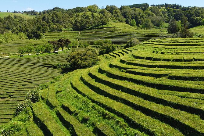 full-day-jeep-tour-to-furnas